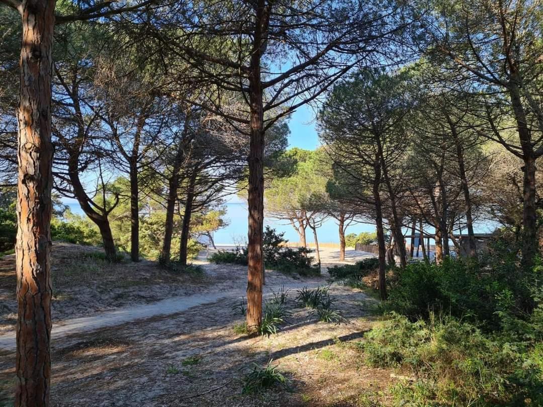 Pepita Del Mare Daire Alghero Dış mekan fotoğraf